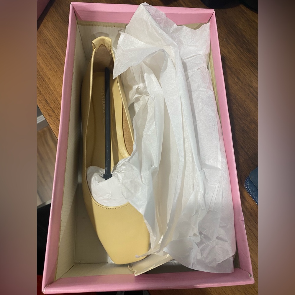 INTENTIONALLY BLANK Yellow Flats